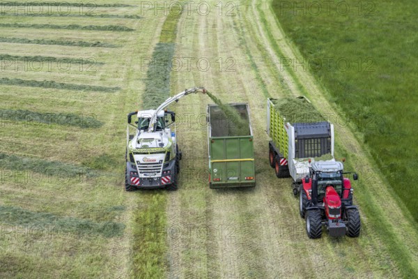 Hay harvest, on a Rhine meadow near Duisburg-Beeckerwerth, a forage harvester picks up the cut