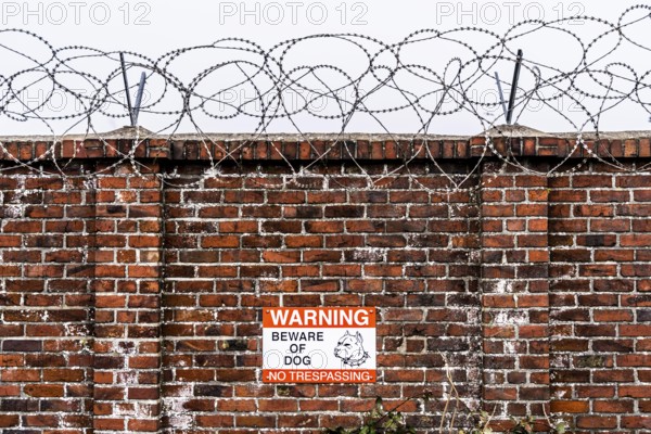 Company premises, wall secured with rolls of barbed wire, signpost for guard dog on the premises