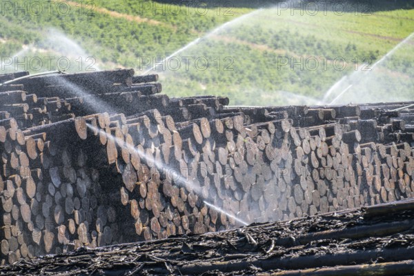 Wet wood storage of a sawmill, timber that is stored longer is sprinkled with water so that the