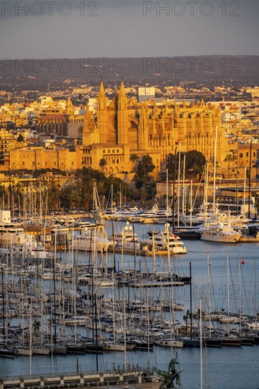Panorama of Palma de Majorca, Bay of Palma, with the marina and the Cathedral of St Mary, Balearic