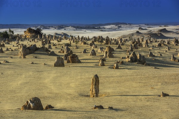 Pinnacles Desert, Nambung National Park, Kalbarri Region, Western Australia, Australia, Oceania