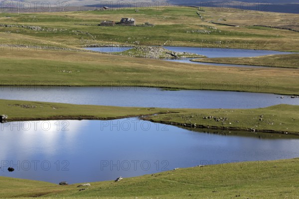 Landscape with lakes, Western Mainland, Shetland Islands, Scotland, United Kingdom, Europe