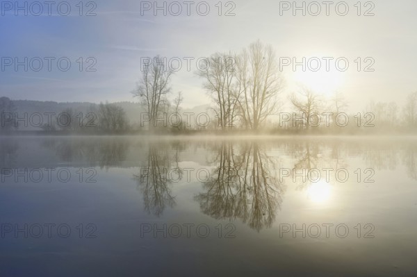 Trees reflected in the shallow lake at sunrise, nature reserve, Rottenschwil, Freiamt, Canton