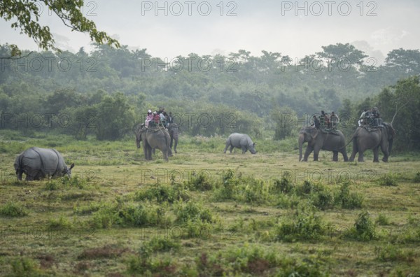 Tourists looks one horned rhinocero as they ride elephants during a safari at Kaziranga National