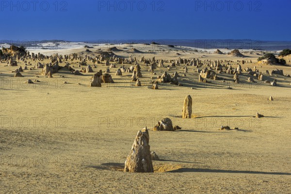 Pinnacles Desert, Nambung National Park, Kalbarri Region, Western Australia, Australia, Oceania