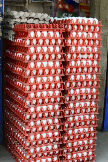 Fort Cochin, Cochin, Kerala, South India, India, Asia, Stacked eggs in red plastic trays at the