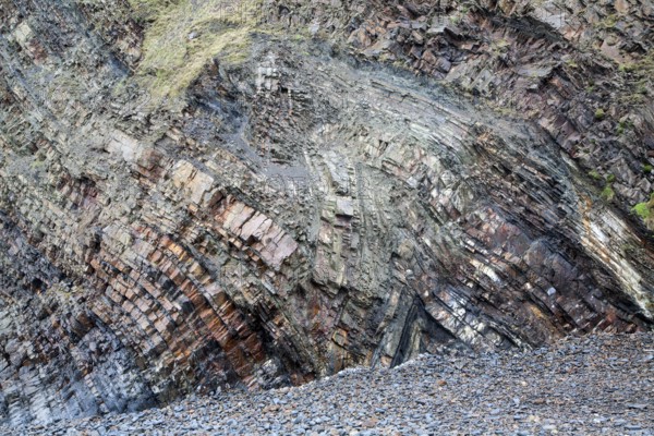 Complex folding of sedimentary rock strata in coastal cliffs at Hartland Quay, north Devon,