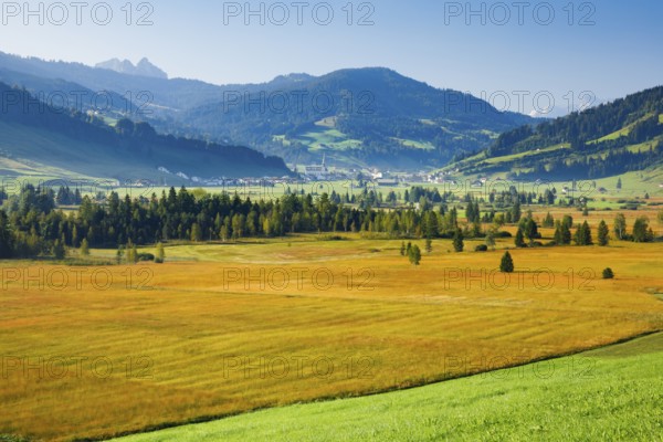 View over the Rothenthurm high moor with the village of Rothenthurm in the background, Schwyz,