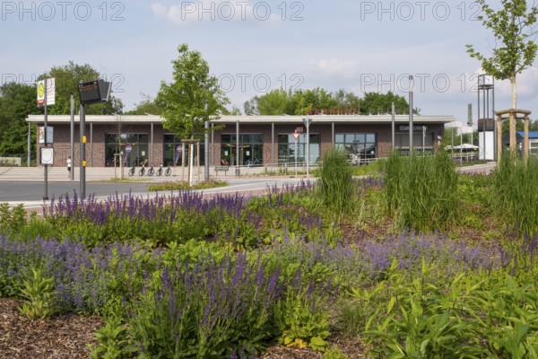 Railway station with flower bed, Dülmen, Münsterland, North Rhine-Westphalia, Germany, Europe