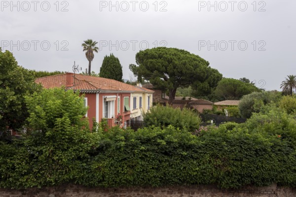 Traditional house in Fréjus, with pine trees and palm trees behind, Fréjus, Var,