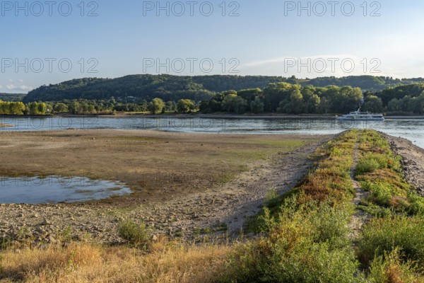 The Rhine at extremely low water, near Bad Honnef Rhöndorf, below the Drachenfels, Nonnenwerth