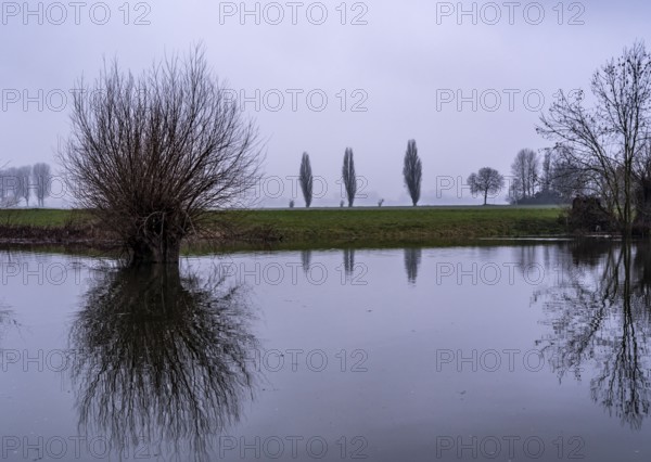High water on the Rhine at Düsseldorf-Kaiserswerth, foggy weather, riverside paths and Rhine
