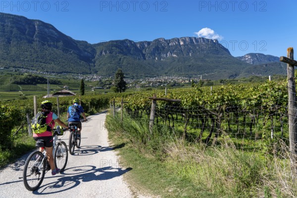 Cycle path through the wine-growing areas in South Tyrol, near Kaltern on the wine route, shortly