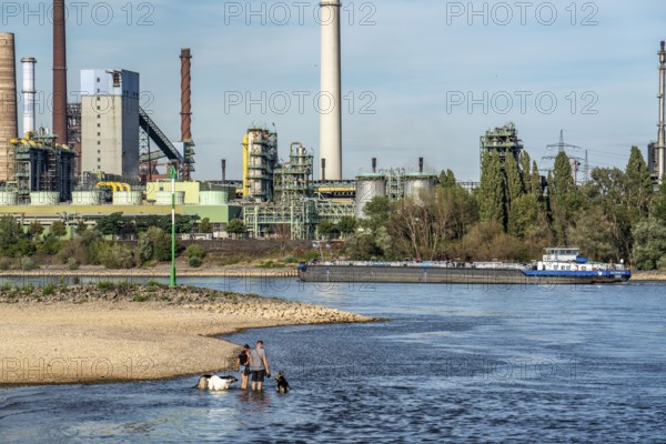 Low water level on the Rhine, banks dry up, sandbanks in the river, shipping can only navigate with