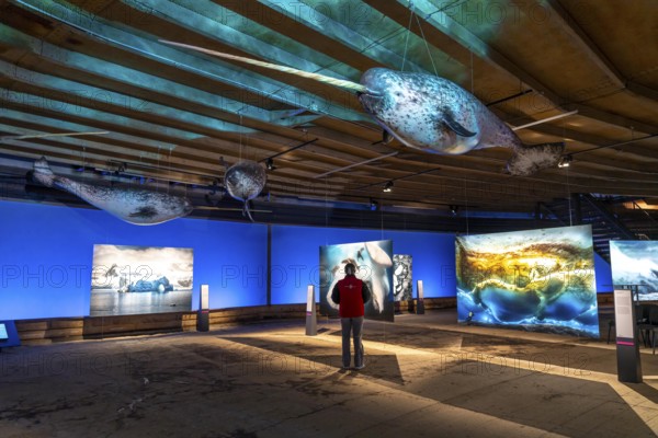 Plante Ozean exhibition in the Gasometer in Oberhausen, the world's oceans in their fragile beauty