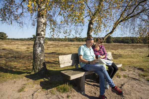 Hikers in the Westruper Heide, heathland near Haltern am See, Hohe Mark Westmünsterland nature park