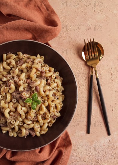 Pasta with stewed meat, pasta in the navy, horns, homemade, no people
