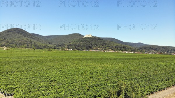 Flight over the vineyard hills near Neustadt, with the Palatinate Forest and Hambach Castle in the
