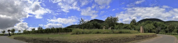 View from Edenkoben towards the Palatinate Forest with the Blättersberg in the centre of the