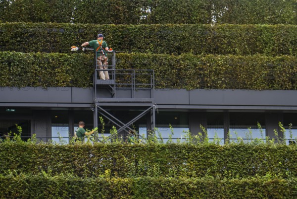 Green façade, made of over 30, 000 hornbeams forming a hedge a good 8 kilometres long, on the roof