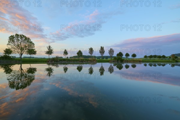 Lake in spring with row of trees and reflection at sunset, Drei Gleichen, Ilm-Kreis, Thuringia,