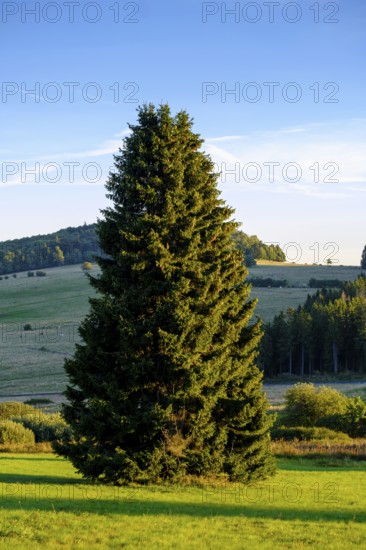 View from the Heidelstein, Schwabenhimmel, UNESCO Biosphere Reserve, near Hausen, Rhön, Bavarian