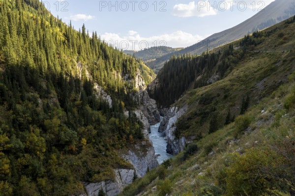 Mountain landscape with river in a narrow mountain valley in autumn, Little Naryn or Kichi-Naryn,