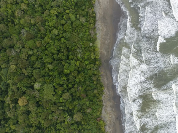 Top-down, aerial view, beach and sea, coast with rainforest, Tortuguero National Park, Costa Rica,