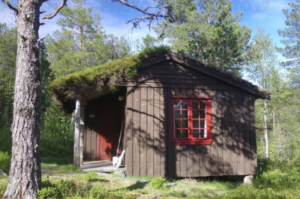 Small rustic wooden hut with a red window and a door in a green forest, typical holiday huts on a
