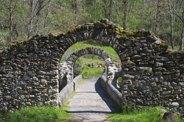 Steinbogenbrücke inmitten der Natur, umgeben von Bäumen und grüner Vegetation, ein ruhiger