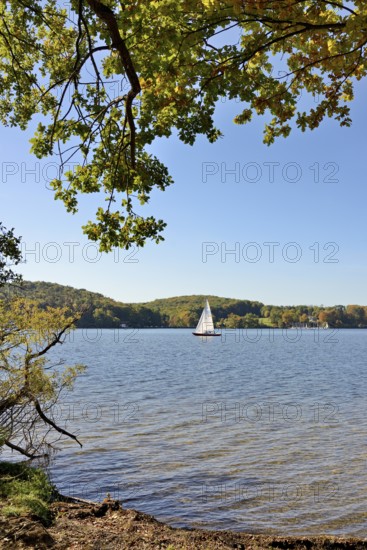 Deciduous trees with autumn leaves on the lakeshore, sailing boat on the Möhne dam, blue sky, North