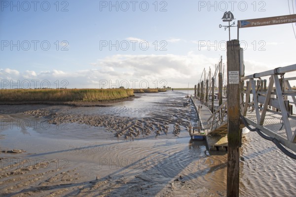 Low water, Ems, silt inflow, ferry harbour, Petkum, East Frisia, Germany, Europe