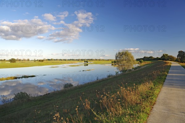 Wide landscape with river and road under blue sky in the evening light, Langenfeld, Elbe, Wendland,