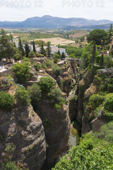Deep ravine with green vegetation surrounded by white buildings and mountain landscape in Ronda,