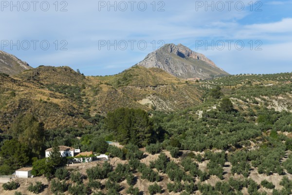A picturesque view of green fields and mountains under a blue sky, near Bedmar y Garcíez, Bedmar y