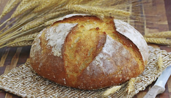 Food, baked goods, a loaf of bread, farmhouse bread, AI generated, AI generated