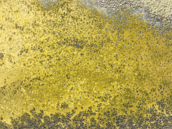 Detail of salt marshes near Sanlúcar de Barrameda. Aerial view. Drone shot. Cádiz province,