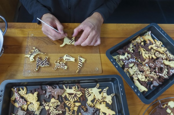 Swabian cuisine, Swabian Christmas biscuits, cookie cutters, shortbread biscuits painted with