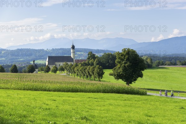 Pilgrimage church of St. Marinus and Anian in Wilparting, cornfield, avenue, meadow, cyclist,
