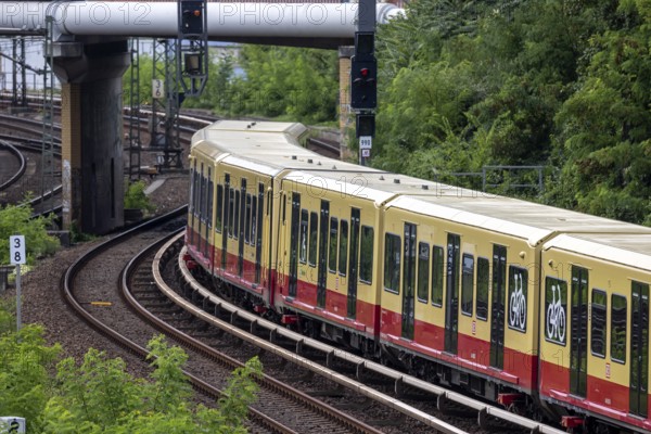 S-Bahn travelling on open track near Gesundbrunnen station, Berlin, Germany, Europe