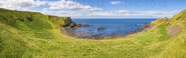 Green meadows meet the coast with a view of the sea under a blue sky, Giant Causeway