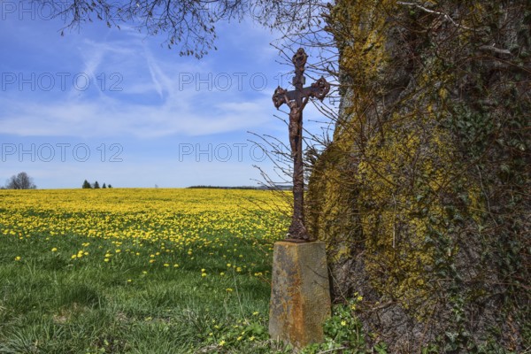 Wayside cross at a spring meadow in the Allgäu, Bavaria, Germany, Europe