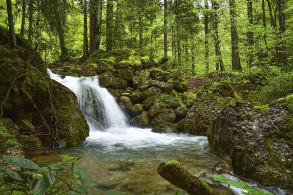 Long exposure of a waterfall on the Steigbach in the Steigbachtobel near Immenstadt in Oberallgäu,