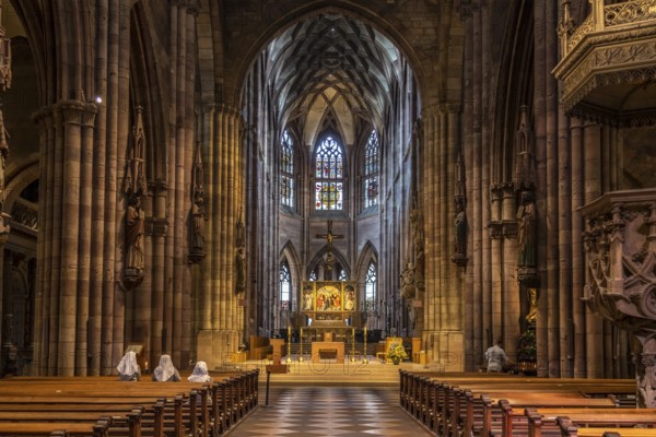 Interior of Freiburg Minster, Freiburg im Breisgau, Black Forest, Baden-Württemberg, Germany,