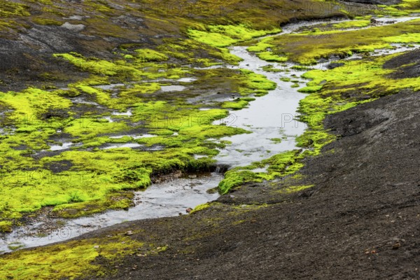 Colourful volcanic landscape with hills and snow, volcanic hot springs, Laugavegur trekking trail,