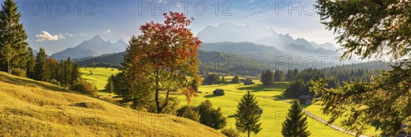 Hummock meadows between Mittenwald and Krün, Werdenfelser Land, with the Wetterstein Mountains