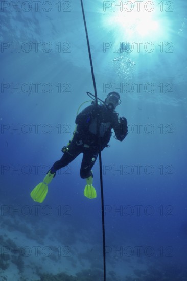 Diver making a safety stop in deep blue water with the sun shining above her. Dive site Punta