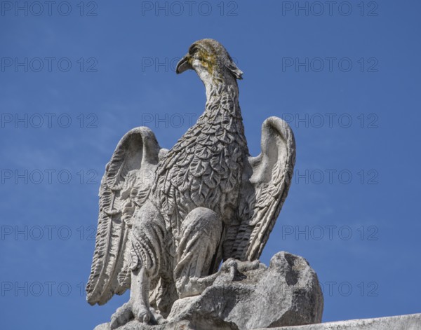 Stone figure as a bird in Urbino, Marche, Italy, Europe