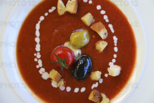 Restaurant Schloss Haigerloch, Gazpacho, cold Spanish vegetable soup, pureed tomatoes and red