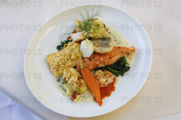 Restaurant Schloss Haigerloch, fine fish, salmon, scallop, char, spinach, dill, carrot, fine